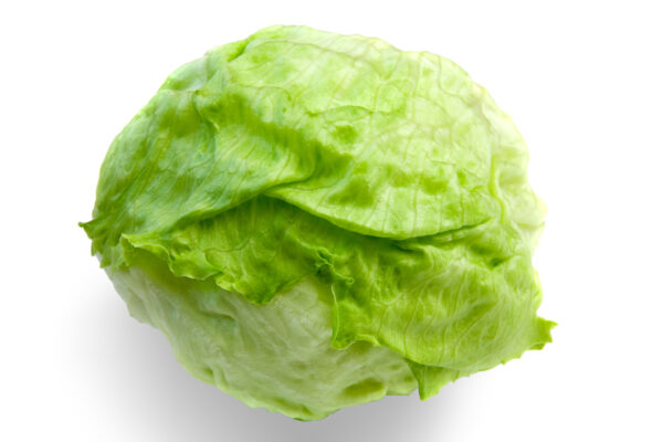 Lettuce Head